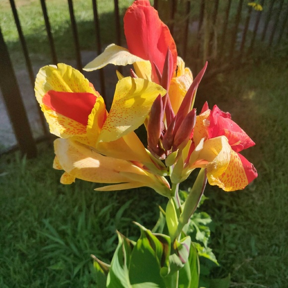 Meet your Posher, Enrique - Picture 1 of 1